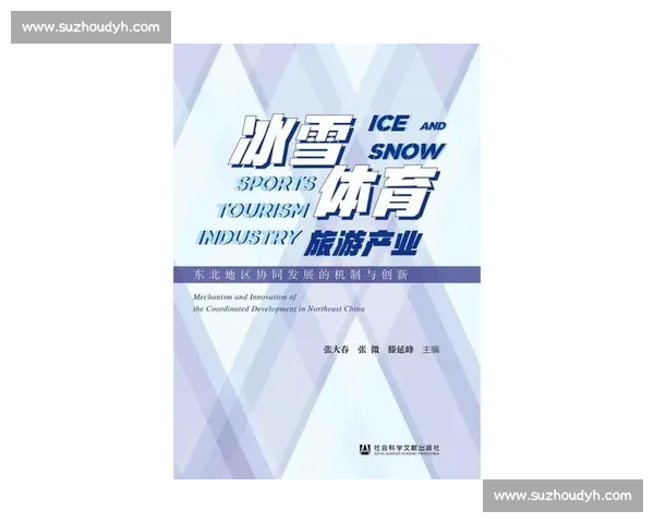 体育产业政策引导下的市场发展与创新模式研究探索 体育产业政策引导下的市场发展与创新模式研究探索