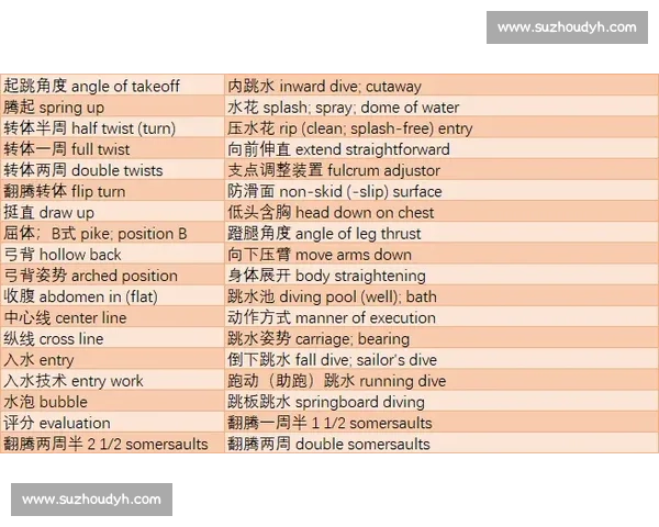 400个体育相关词汇汇总与分类解析及其在运动训练比赛中的应用指南 400个体育相关词汇汇总与分类解析及其在运动训练比赛中的应用指南